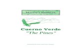 To Members of the Cuerno Verde Owners Association · CUERNO VERDE OWNERS ASSOCIATION By purchasing property within Cuerno Verde Pines, you have agreed to abide by the Covenants, conditions