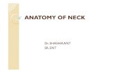 ANATOMY OF NECK OF...ANATOMY OF NECK Dr. SHASHIKANT SR, ENT Development Triangles Fascial boundries Neck spaces Cervical lymphatics Muscles Major vessels Nerves Development The skin