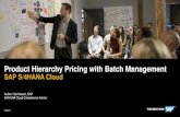 Product Hierarchy Pricing with Batch Management - SAP ......batch management in Sales document. Please refer to my previous blog “ProductHierarchy in Sales, Billing & Analytics”for