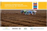 Cuenta ambiental de agricultura de Guatemala€¦ · Central del Sistema de Cuentas Ambientales y Económicas. El marco entonces aprobado, es el producto final de una serie de estudios