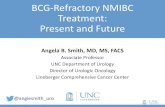 BCG-Refractory NMIBC Treatment: Present and Future · (Tokyo strain 100 µl at 0.5 mg /ml) + Intravesical BCG (Tokyo strain 80 mg/dose) Intravesical BCG (Tokyo strain 80 mg/dose)