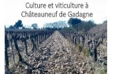 ETUDE DU MILIEU Chateauneuf de Gadagne...ETUDE DU MILIEU Culture et viticulture à Châteauneuf de Gadagne Faute de documentation précise, nous voici à rêvasser aux gros mots savants