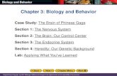 Chapter 3: Biology and BehaviorBiology and Behavior Original Content Copyright by HOLT McDougal. Additions and changes to the original content are the responsibility of the instructor.