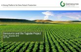 A Strong Platform for New Potash Production · The Tugaske Potash Project (the “Project”) is the first module to be developed by Gensource in Saskatchewan. 2 Environmentally &