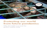 Protecting our world from future pandemics Ver-1.3...Protecting our world from future pandemics – why the G20 must end the global wildlife trade 3 Executive summary Millions of dead