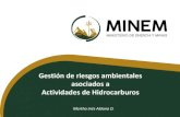 Ministerio de Energía y Minas - Presentación de PowerPoint...Política Nacional del Ambiente: (D.S.012-2009-MINAM) • Mejorar los estándares ambientales y sociales de las actividades