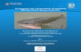 Ecological risk assessment of stocking Murray cod in South … · 2014. 12. 19. · considered the progeny of any stocked fish in terms of genetic risks. We have not considered ecological