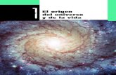 El origen del universo y de la vidalistas.exa.unne.edu.ar/.../Elorigendeluniversoylavida.pdf · 2020. 6. 10. · Estructura del universo El universo está formado por nebulosas y