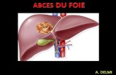 AHuniv.ency-education.com/uploads/1/3/1/0/13102001/gastro4... · 2019. 10. 31. · Complic rare des transplanta hépatiques. thrombose de lAH, une cholangite, des épisodes antérieurs