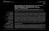Cyclotides Isolated from an Ipecac Root Extract Antagonize the … · American medicinal plant ipecac (Carapichea ipecacuanha) for its GPCR modulating activity of the corticotropin-releasing