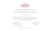 Università degli Studi di Padovatesi.cab.unipd.it/54670/1/betto_tesi.pdf · 2017. 4. 21. · astigmatismo composto quando all’astigmatismo si associa miopia, dove entrambi i meridiani