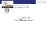 Chapter 24 Lipid Biosynthesis - 140.121.155.1140.121.155.1/5123/4_chapter24.pdf · The Biosynthesis and Degradation Pathways are Different •As in cases of glycolysis/gluconeogenesis