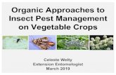 Organic Approaches to Insect Pest Management on Vegetable Crops · PDF file 2019. 3. 27. · Insect Pest Management on Vegetable Crops Celeste Welty Extension Entomologist March 2019