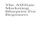 Affiliate Marketing Blueprint For Newbies