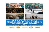 EHAVIORAL HEALTH & RE OVERY SERVI ES | JANUARY ......In October 2018, Marin County Behavioral Health and Recovery Services (BHRS) Director initiated the suicide prevention strategic
