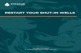 RESTART YOUR SHUT-IN WELLS - Stratum Reservoir...well start-up procedure can be developed and implemented. Don’t let your start-up operations yield sub-par production. • Wellbore