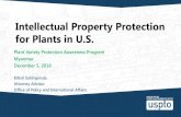 Intellectual Property Protection for Plants in U.S. Intellectual...Intellectual Property Protection for Plants in U.S. Plant Variety Protection Awareness Program Myanmar December 5,