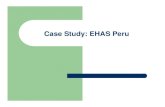 Case Study: EHAS Peru...EHAS Peru has installed communication systems for voice and data in 90 of the 105 establishments in the area, with the help of the Ministry of Health (MOH),