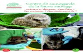 Centre de sauvegarde de la faune sauvage - Picardie Nature...tés du centre de sauvegarde sont suspendues. 2006:l'accueil et les soins aux animaux reprennent en décembre, soutenus