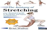 The anatomy of stretching: your illustrated guide to flexibility and injury rehabilitation