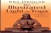 llustrated Light on Yoga