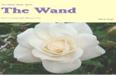 The Wand The Wand - A Guiding Light