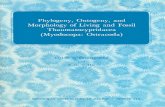 Phylogeny, Ontogeny, and Morphology of Living and Fossil Thaumatocypridacea