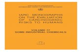 Some Industrial Chemicals Volume 77 (IARC Monographs on the Evaluation of the Carcinogenic Risks to Humans)