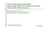 Mooretown Rancheria Beck biomass feasibility study report 7.31.15