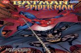 DC Marvel Comics - Batman & Spiderman
