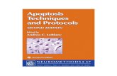 Apoptosis Techniques and Protocols 2nd ed - A. Le Blanc (Humana, 2002) WW