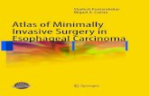 Atlas of Minimally Invasive Esophageal Surgery in Esophageal Carcinoma - S. Puntambekar, et al., (Springer, 2010) WW