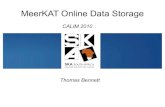MeerKAT Online Data Storage