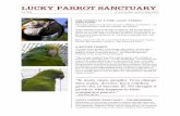 LUCKY PARROT SANCTUARY - Welcome to