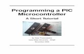 Programming a PIC Microcontroller - Senior Design - Iowa State