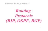 Routing Protocols (RIP, OSPF, BGP) - Georgia Institute of Technology