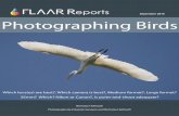 September 2010 Photographing Birds - Digital photography camera