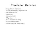 Population Genetics - Western Oregon University