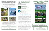 Summer Science Safari Camp brochure