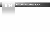 Chapter Financial Analysis 18