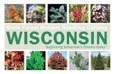 State Forest Nursery Seedling Catalog WISCONSIN
