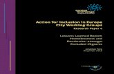 Action for Inclusion in Europe City Working Groups · 2018. 8. 7. · 1 1. Introduction: Action for Inclusion in Europe is a project led by the Global Exchange on Migration and Diversity