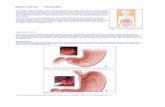 Gastric Cancer: Introduction - Johns Hopkins Medicine, based in