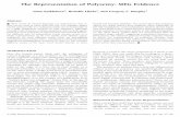 The Representation of Polysemy: MEG Evidence - New York University