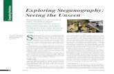 Computing Practices Exploring Steganography: Seeing the Unseen