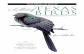 A Checklist of Texas Birds Booklet - Texas Parks & Wildlife