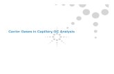 Carrier Gases in Capillary GC Analysis - United States Home | Agilent