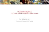 CFA Exam Level -I Corporate Finance Module Dr. Bulent Aybar