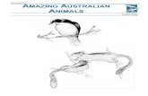 Amazing Australia Animals Teacher Notes - Home | Zoos Victoria