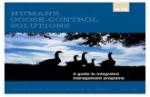 HUMANE GOOSE- CONTROL SOLUTIONS